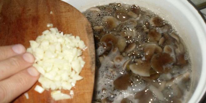 Рецепт маринованные опята