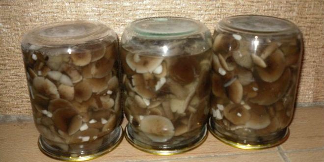 Рецепт маринованные опята