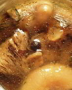 Маринованные рыжики