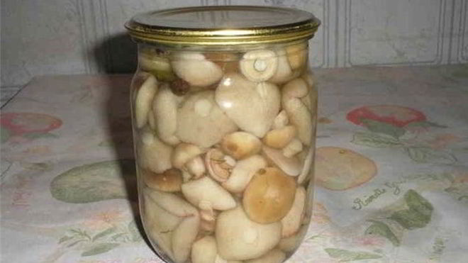 Рецепт Маринованные шляпки подберезовиков