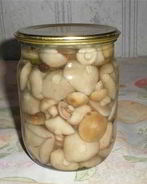 Маринованные шляпки подберезовиков