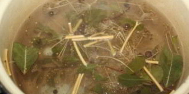 Рецепт маринованные шляпки подберезовиков