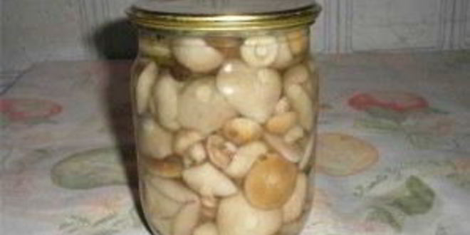 Рецепт маринованные шляпки подберезовиков