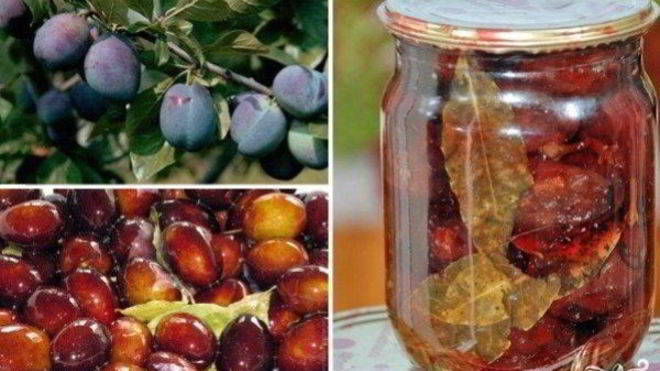 Рецепт Маринованные сливы на зиму
