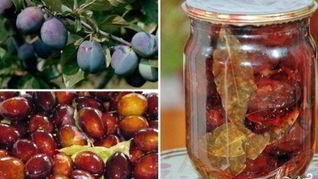 Рецепт Маринованные сливы на зиму
