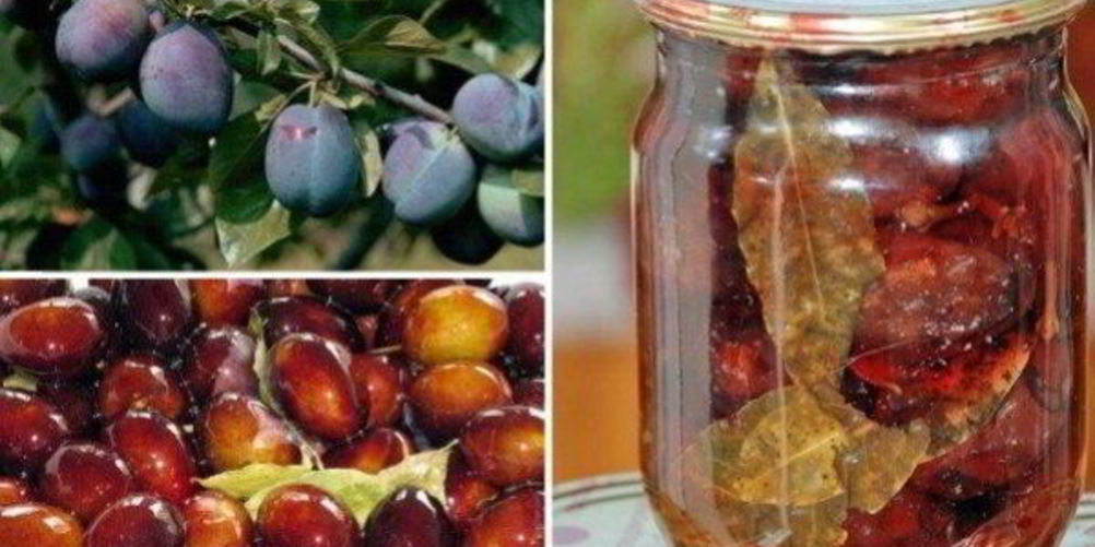Как приготовить маринованные сливы на зиму