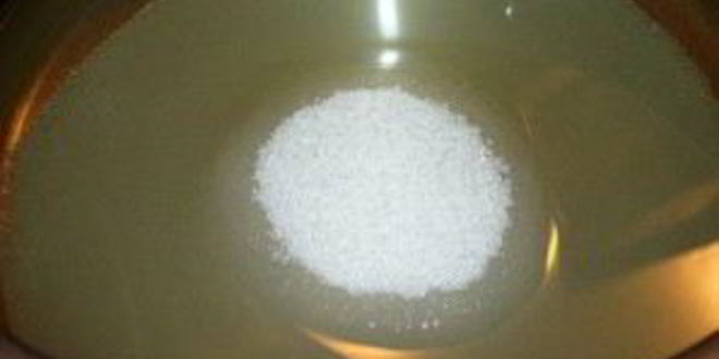 Рецепт маринованные сливы на зиму