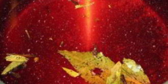 Рецепт маринованные сливы на зиму