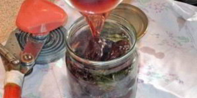 Рецепт маринованные сливы на зиму