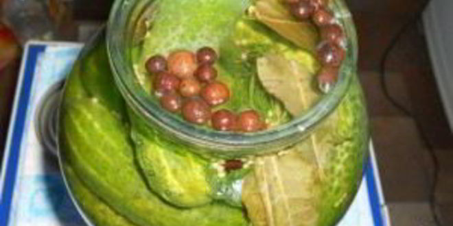 Рецепт маринованные соленые огурцы