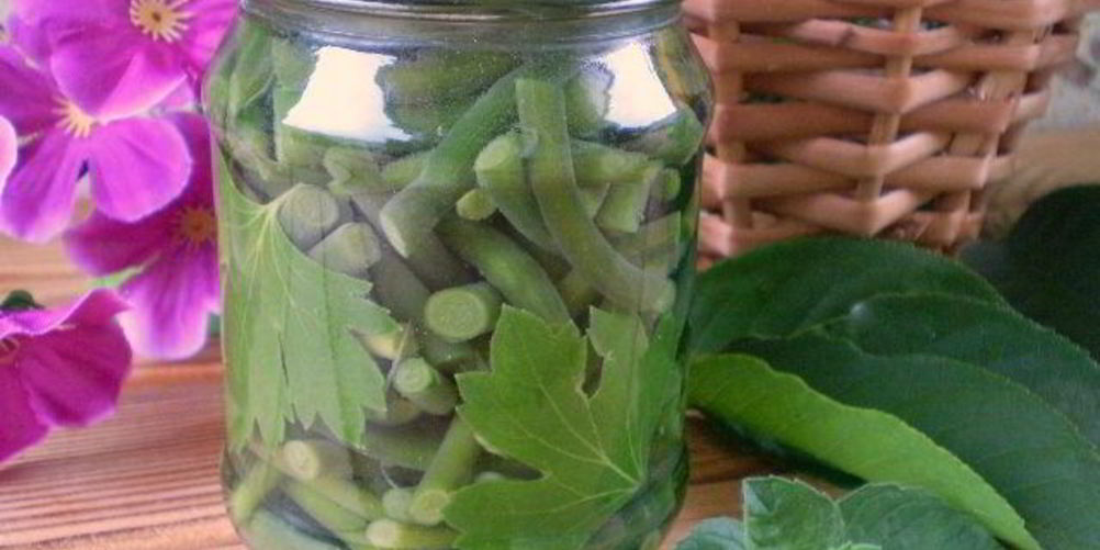 Как приготовить маринованные стрелки на зиму