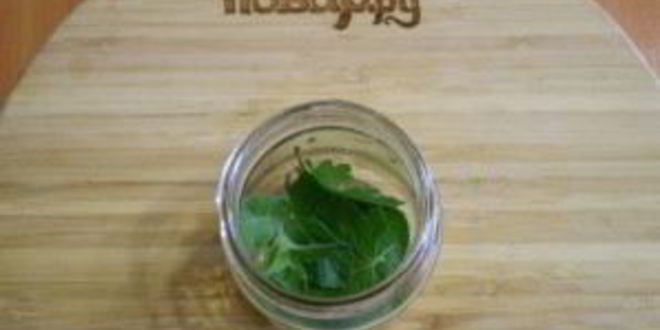 Рецепт маринованные стрелки на зиму