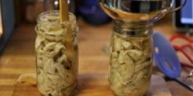 Рецепт маринованные вешенки без уксуса