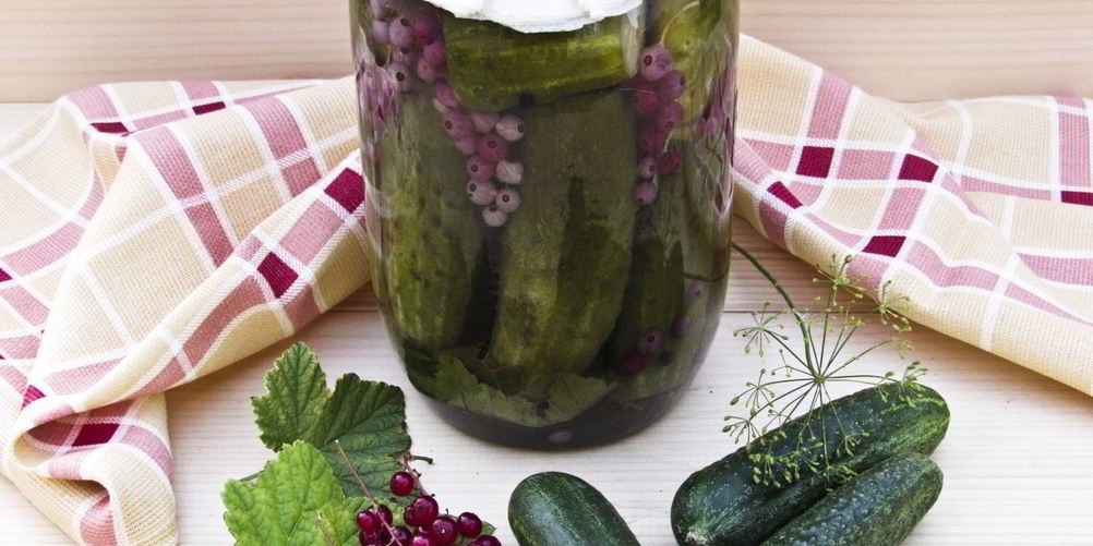 Как приготовить огурцы маринованные с красной смородиной