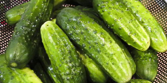 Рецепт огурцы маринованные с красной смородиной