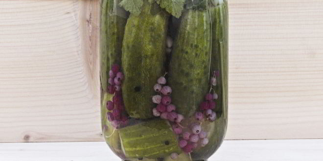 Рецепт огурцы маринованные с красной смородиной