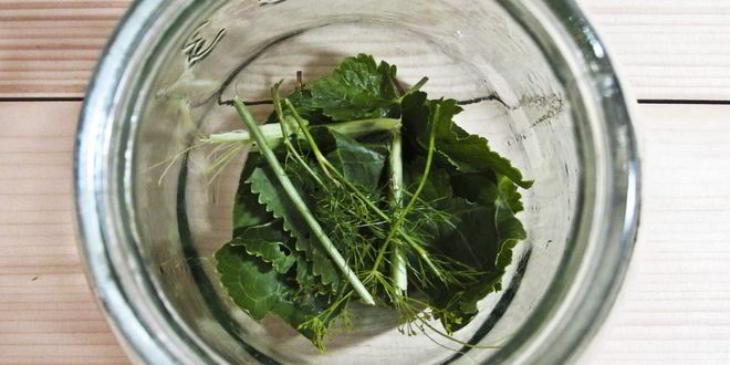 Рецепт огурцы маринованные с красной смородиной