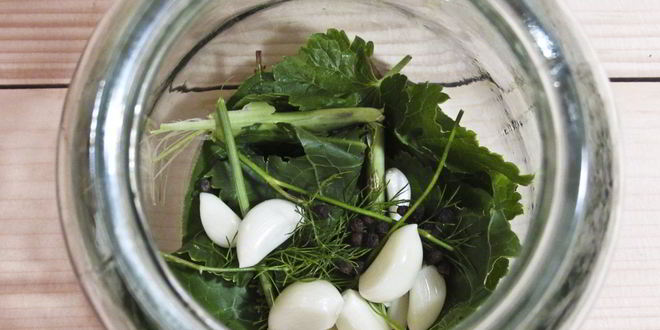 Рецепт огурцы маринованные с красной смородиной