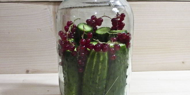 Рецепт огурцы маринованные с красной смородиной