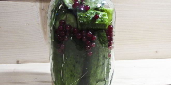 Рецепт огурцы маринованные с красной смородиной