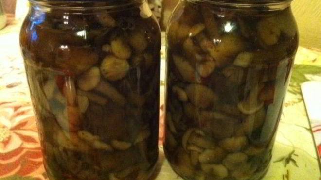 Рецепт Опята маринованные на зиму