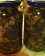 Опята маринованные на зиму