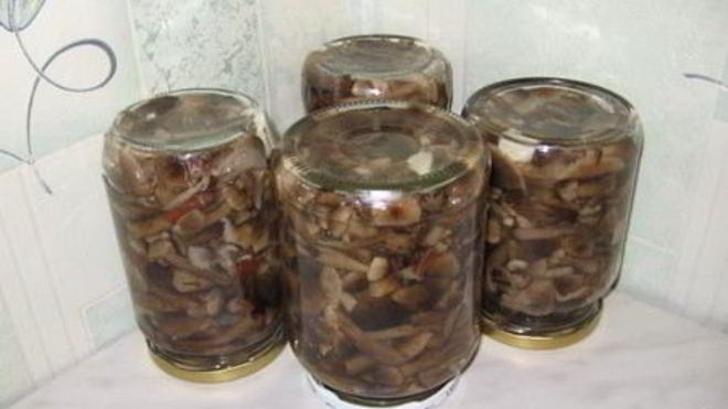 Рецепт Опята, маринованные в банках