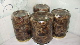 Рецепт Опята, маринованные в банках