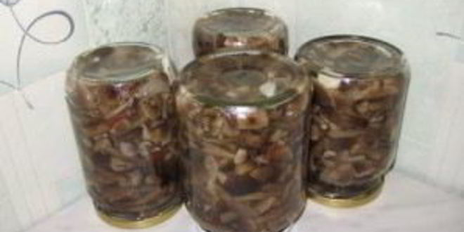 Рецепт опята, маринованные в банках