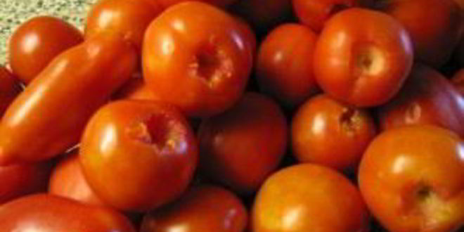 Рецепт помидоры маринованные с чесноком