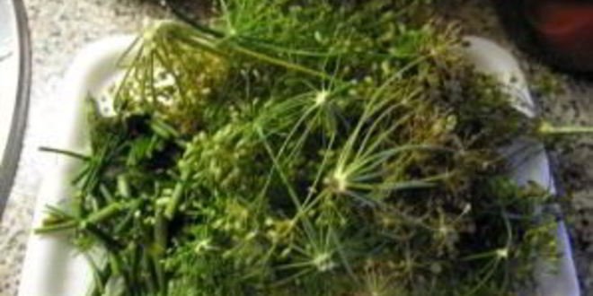 Рецепт помидоры маринованные с чесноком