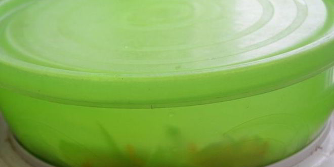 Рецепт медовая квашеная капуста