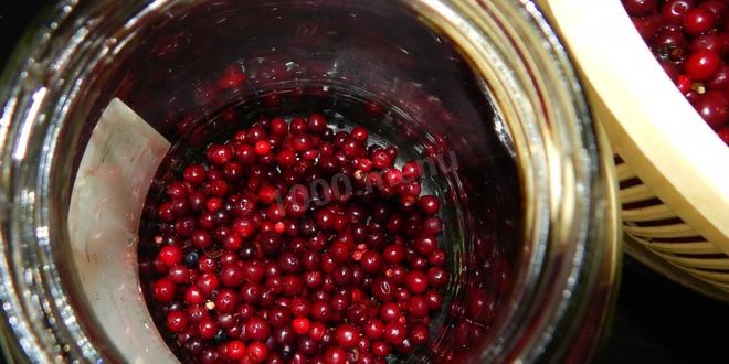 Рецепт моченая брусника на зиму