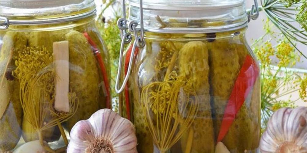 Рецепт соленые хрустящие огурцы на зиму