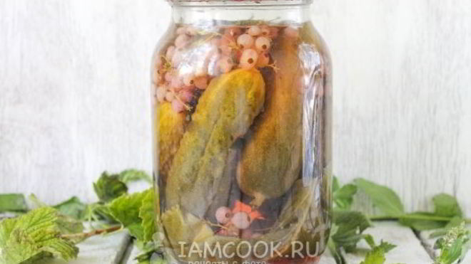 Рецепт Огурцы с красной смородиной на зиму