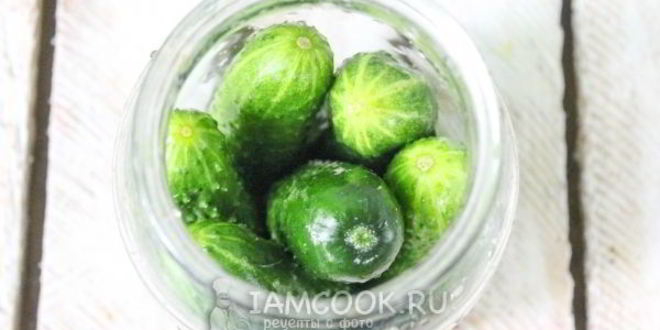 Рецепт огурцы с красной смородиной на зиму