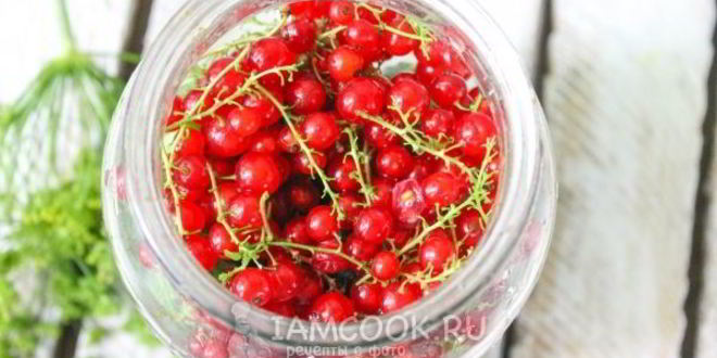 Рецепт огурцы с красной смородиной на зиму