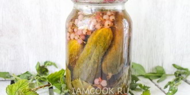 Рецепт огурцы с красной смородиной на зиму
