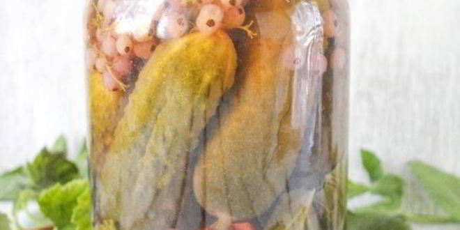 Рецепт огурцы с красной смородиной на зиму