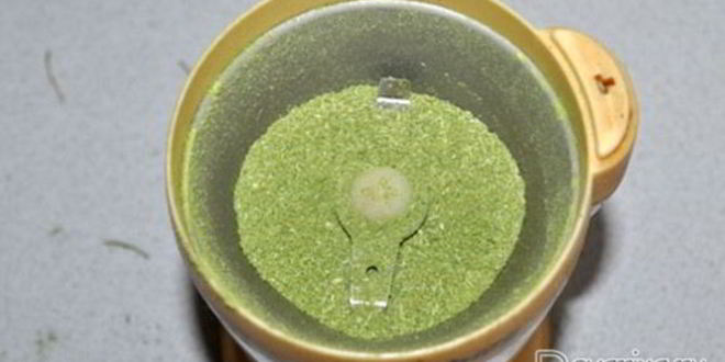 Рецепт приправа из стеблей зелени