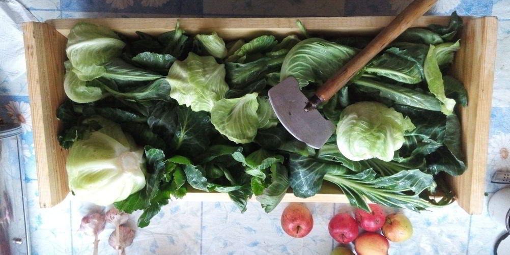 Как приготовить серая квашеная капуста