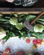 Серая квашеная капуста