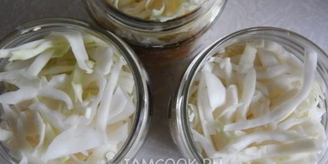 Рецепт соленая капуста на зиму