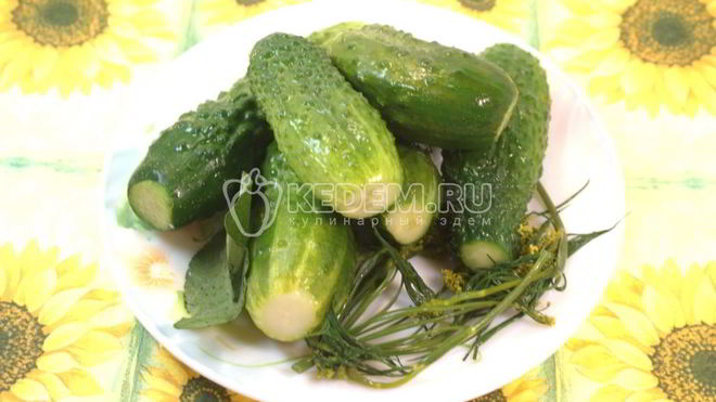 Рецепт Малосольные огурчики