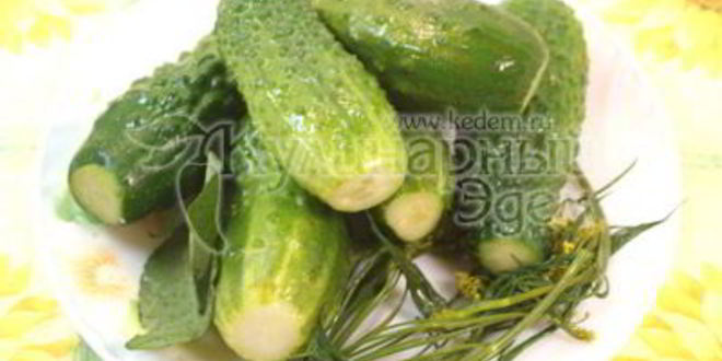 Рецепт малосольные огурчики