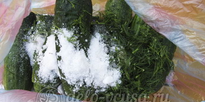 Рецепт малосольные огурцы в пакете