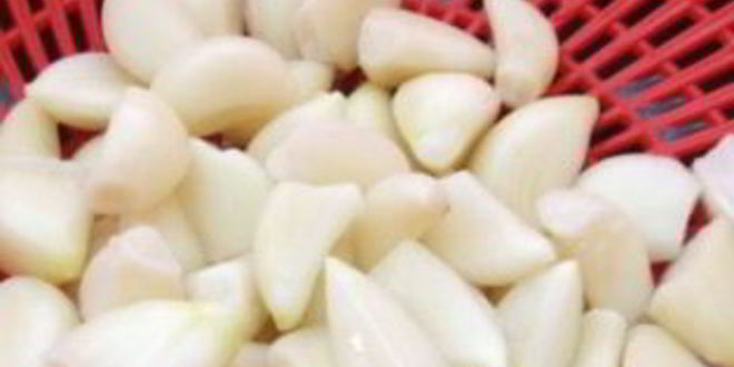 Рецепт соленый чеснок на зиму