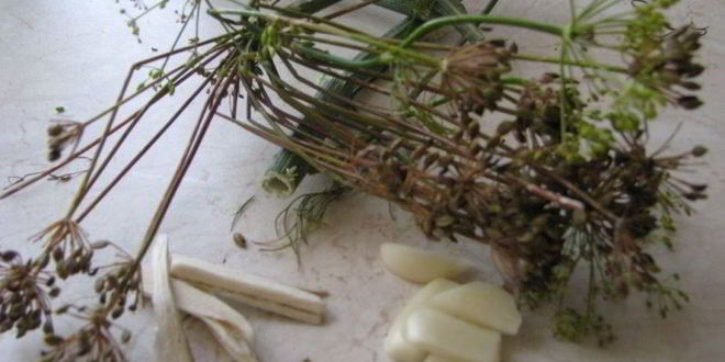 Рецепт соленые хрустящие огурцы на зиму