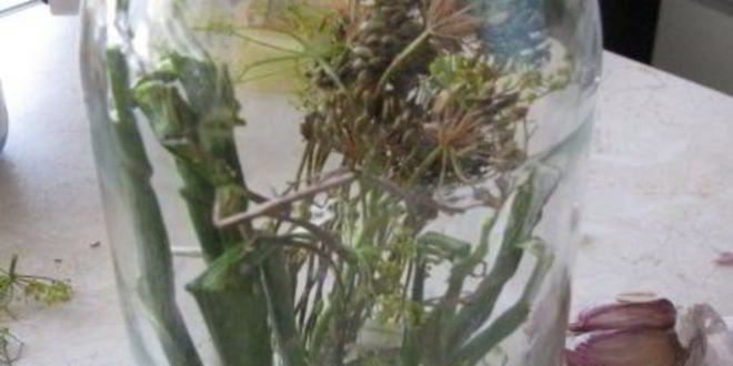 Рецепт соленые хрустящие огурцы на зиму