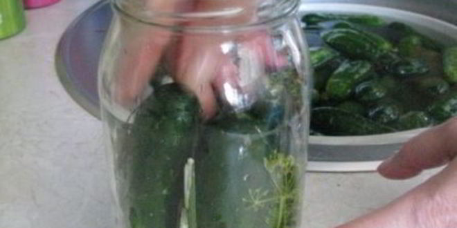 Рецепт соленые хрустящие огурцы на зиму